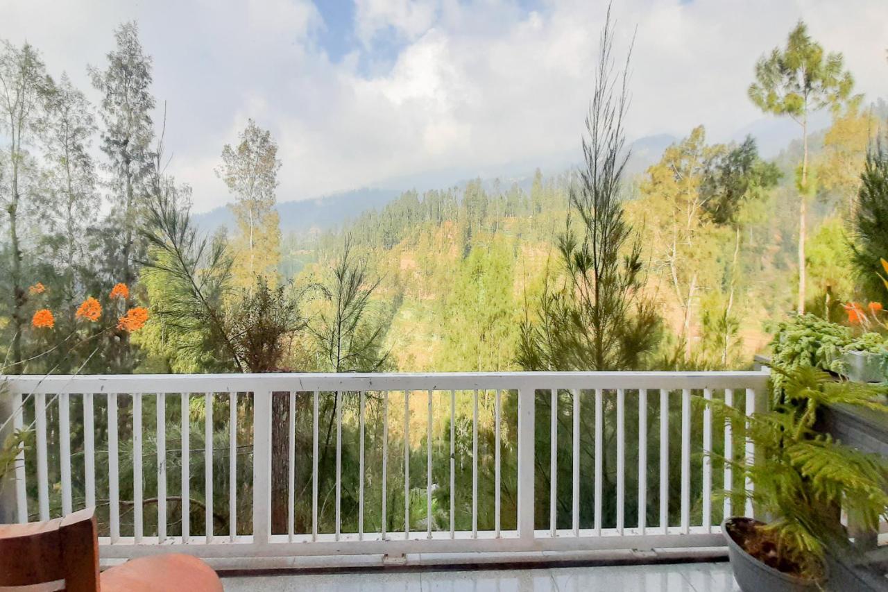 Delvia Bromo Homestay Mitra Reddoorz Pasuruan Exteriör bild
